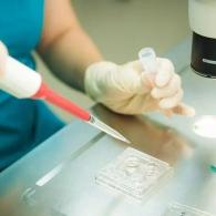 青島試管嬰兒技術(shù)