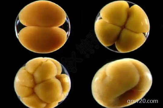 促排卵16個(gè)配6個(gè)正常嗎