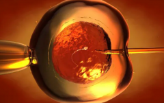 鎮(zhèn)江市婦幼保健院試管嬰兒費(fèi)用