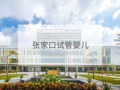 張家口試管嬰兒