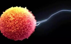 文山試管助孕中心可以做試管嗎