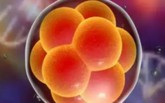 杭州市富陽區(qū)婦幼保健院試管嬰兒價格