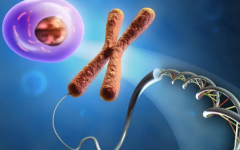 密斯卡灣婦女保健中心試管多少錢