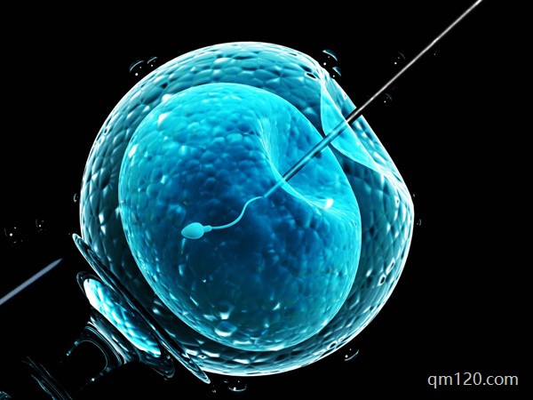 北京試管好還是天津好