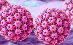 有沒有hpv陽性做試管的醫(yī)院