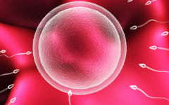 寧?？h婦幼保健院試管嬰兒費(fèi)用