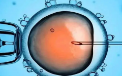 泰國(guó)單身試管嬰兒多少錢