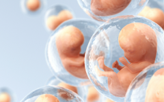 新余市婦幼保健院試管嬰兒價格