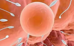 北三醫(yī)院試管嬰兒花費太高