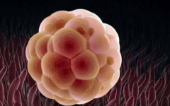 上海龍華醫(yī)院試管嬰兒價(jià)格大概是多少