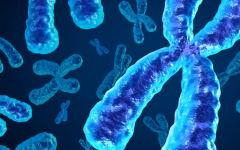 上海園欣婦科醫(yī)院做試管多少錢