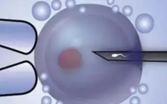 私立試管醫(yī)院的技術(shù)可靠嗎