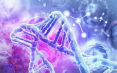 試管遺傳病基因篩查有必要嗎