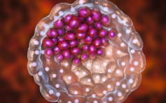 西安第五醫(yī)院做試管基礎(chǔ)費(fèi)用多少錢(qián)