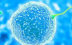 吉林省助孕機構保健院試管嬰兒費用