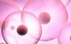 山西省汾陽醫(yī)院做試管嬰兒一般多少錢