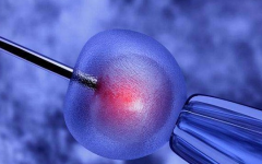 45歲還能做試管嬰兒嗎