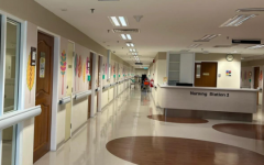 馬來(lái)西亞私立試管醫(yī)院排名