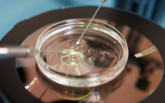 濱州醫(yī)學專業(yè)附屬醫(yī)院試管嬰兒的價格