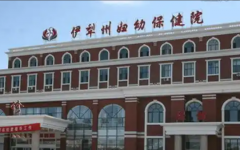 伊犁州婦幼保健院試管嬰兒技術(shù)怎么樣