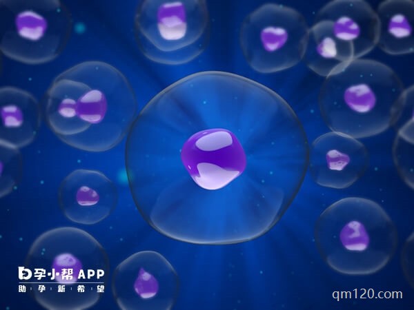 保存胚胎費(fèi)用大約多少