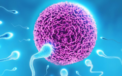 甘肅省中醫(yī)院試管嬰兒費用怎么收