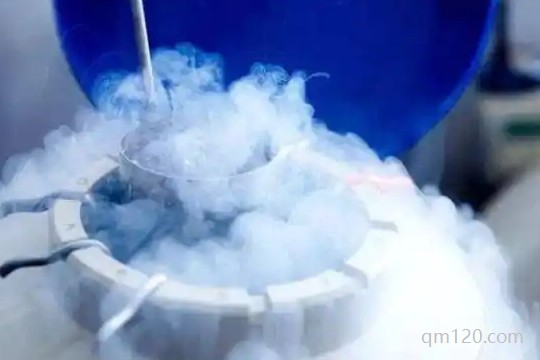 卵子保存必須已婚嗎