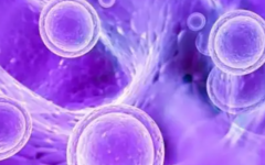 北京小兒醫(yī)院試管嬰兒的費(fèi)用多少