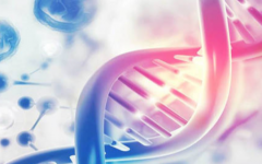 貴陽醫(yī)學專業(yè)附屬醫(yī)院做試管的哪個費用更高