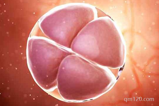 第一代試管嬰兒費(fèi)用大約多少