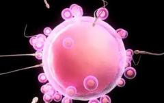 溫州市試管助孕中心試管多少錢