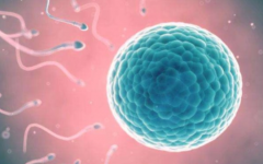 江蘇省中醫(yī)院做試管貴嗎