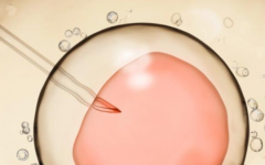 上海市第六試管助孕中心試管費(fèi)用是多少