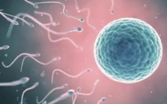 哈薩克斯坦助孕套餐30萬