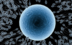 浙江省試管助孕中心試管的費(fèi)用大概多少錢一次