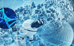 武漢市第一醫(yī)院試管嬰兒費用參考