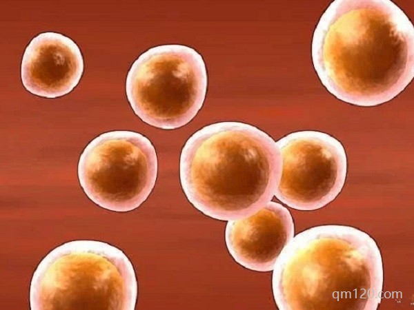 ppos試管方案優(yōu)缺點(diǎn)