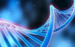 邵陽匯恩醫(yī)院試管嬰兒要多少錢呢