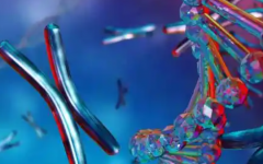 南助孕機構(gòu)順德醫(yī)院做試管全部一起費用多少