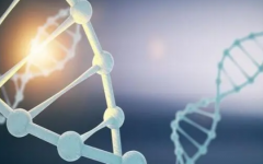 無(wú)錫904醫(yī)院做試管的費(fèi)用標(biāo)準(zhǔn)