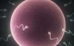 哪些人做不了試管嬰兒