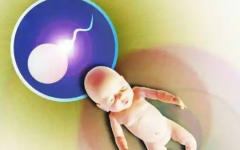 南華大學附一院做試管費用要多少錢