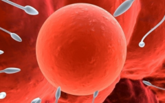 湘潭市中心醫(yī)院試管嬰兒多少錢