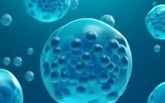 北京西眾醫(yī)院做試管費用咨詢