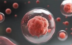 深圳湘北醫(yī)院做試管嬰兒要準(zhǔn)備多少錢