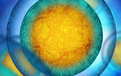 天津醫(yī)科大學(xué)第二醫(yī)院試管助孕多少錢