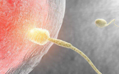 佛山順德區(qū)婦幼保健院試管費(fèi)用大概是多少