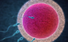 河北生殖試管?？漆t(yī)院試管嬰兒攻略