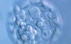 貴港市試管助孕中心試管嬰兒費(fèi)用