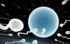 沈陽安聯(lián)婦女小兒醫(yī)院試管收費(fèi)標(biāo)準(zhǔn)